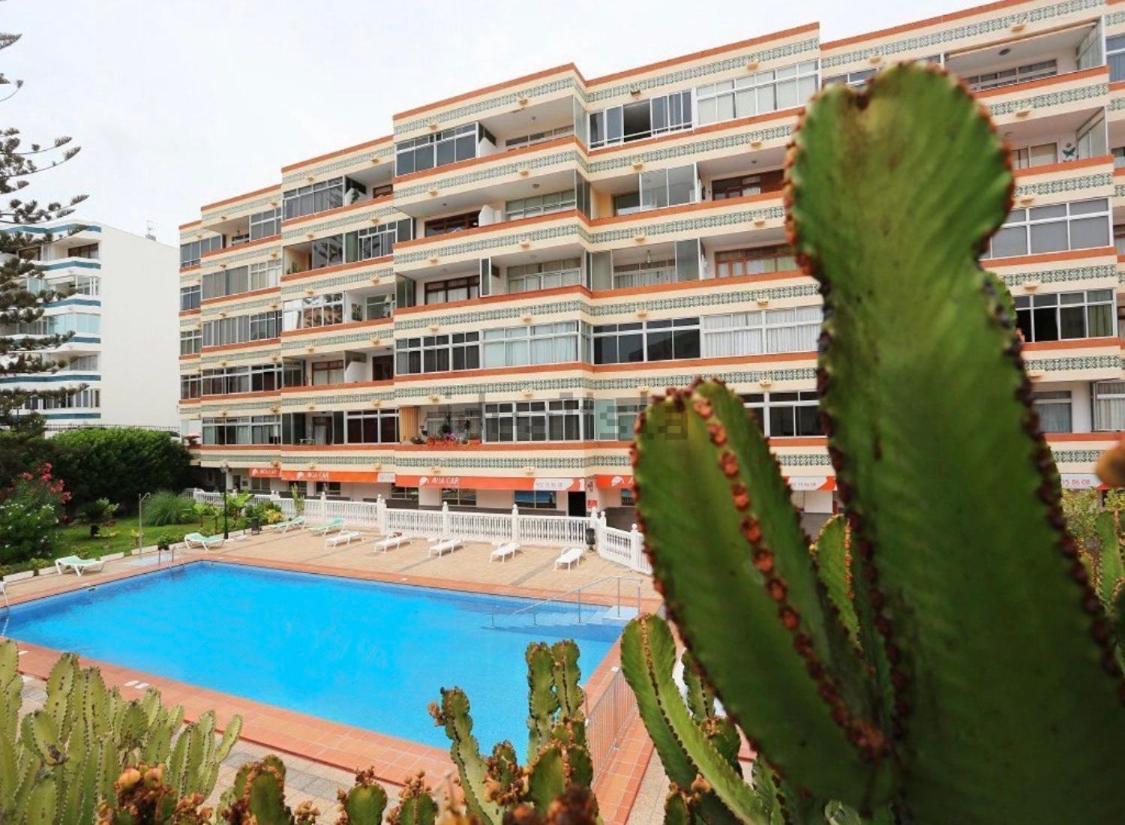 Calm, Cosy And Bright Apartment Renovated In Playa Del Ingles- Wifi Free Zewnętrze zdjęcie